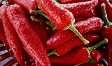 Айвар без томатов: вкуснее икры, гуще соуса — лучшее, что можно приготовить из перца на зиму