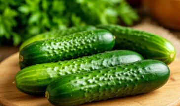 Урожай — пушка! В ноябре беру семена этих огурцов: через 45 дней — 4 кг хрустящих корнишонов с куста