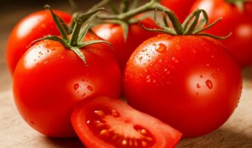 «Сажаю и забываю» — 5 томатов, которые растут вопреки погоде, фитофторе и соседским советам