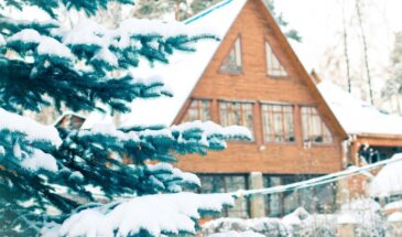 Весной будет поздно: 5 дел на даче, которые надо успеть до первых морозов