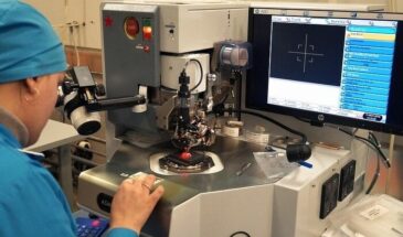 Делать подковы для блох в России умеют, а производить чипы — нет: страна оказалась в технологическом тупике