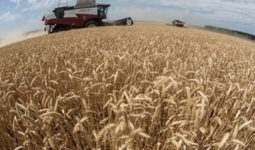 Российские аграрии могут заменить США в Китае. Если родная власть им не помешает