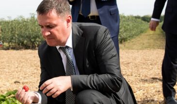 Гордиться уже нечем: Россия опять стала больше импортировать продовольствия, чем продавать за рубеж