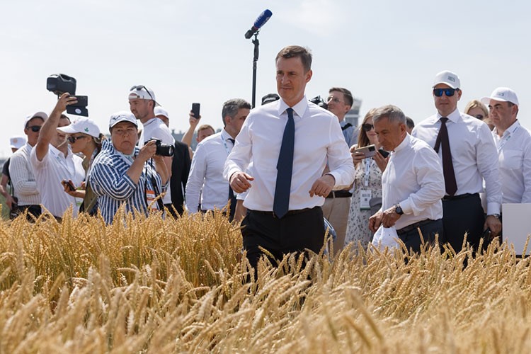 Минсельхозу удалось спасти Россию от дефицита картофеля – Китай помог