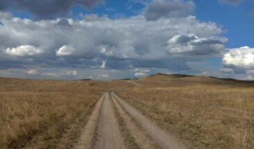 Московские интриганы против сибирской реальности: продажной элите нужны наши реки, но не нужны наши люди