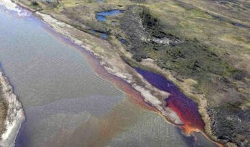 Олигарху Потанину все сходит с рук: последствия экологической катастрофы на Таймыре до сих пор не устранены