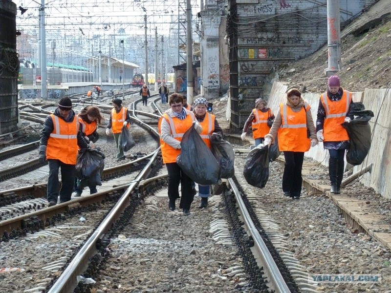 У России женское лицо: в стране катастрофически не хватает мужчин