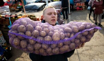 Дожили… Властям предлагают регулировать цены на картофель, иначе Россия помрет с голоду
