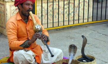 Goodbye, America: Индия не боится пошлин Трампа и будет строить новый мир без Вашингтона