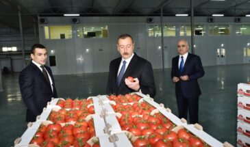 Алиев решил ускорить уничтожение азербайджанской мафии в России