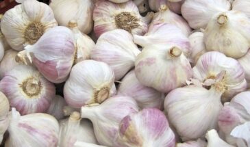 Сколько лет подряд можно сажать чеснок на одной грядке? Опытные огородники предостерегают — есть тот самый нюанс. Возьмите на заметку