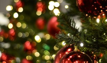 Салат «Сельдь в пальто» без свеклы: как приготовить новогоднюю закуску быстро, вкусно и без классической «шубы»