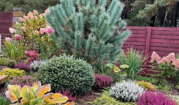 «Сад в порядке, урожай — рекордный, а в кошельке — деньги»: как дачники тратят вдвое меньше, но собирают втрое больше — секрет не в сортах, а в одном списке