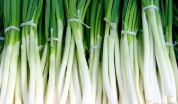 Зелёный лук к Новому году — за 7 дней, без земли и горшков. Лайфхак с пакетом, который работает даже у «не-дачников»