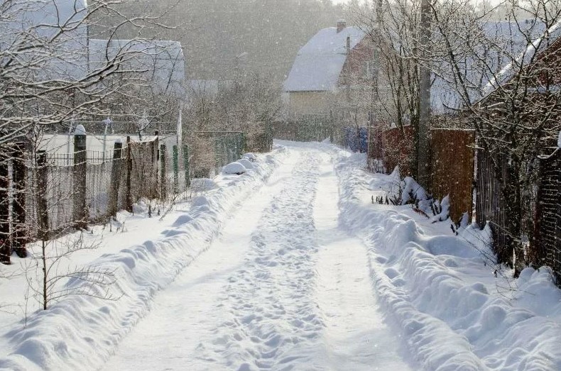 Изымут не из-за долгов, а из-за сорняков. Новый закон о дачах вступает в силу в 2026 году