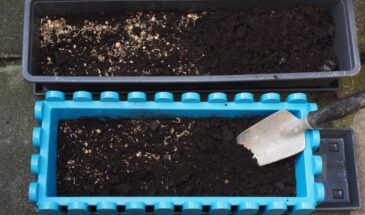 Сеем в январе — цветём в мае: 6 цветов, которые уже сейчас можно сажать на рассаду