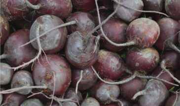 Храню свеклу так — лежит до Нового года: ни сморщенная, ни проросшая. Секрет в трёх шагах и газете