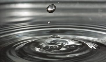 Зимой кожа сереет, мозг тормозит — и всё из-за одной ошибки, которую 9 из 10 совершают… не подозревая, что это и есть причина