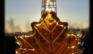 Из дерева, не из кукурузы: как отличить настоящий кленовый сироп — и почему 90% бутылок на полке — подделка