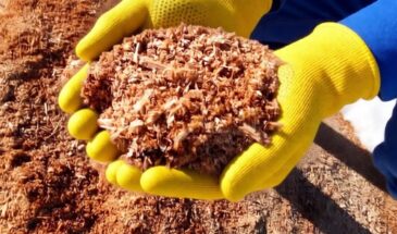 Забытый утеплитель из прошлого века: дешевле пенопласта, крепче минваты и служит дольше, чем ваш дом — проверено на старых избах!