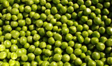 «Кормовой горох в банке?!» — 8 марок зелёного горошка, где нашли битые зёрна, недовес и… коричневые вкрапления