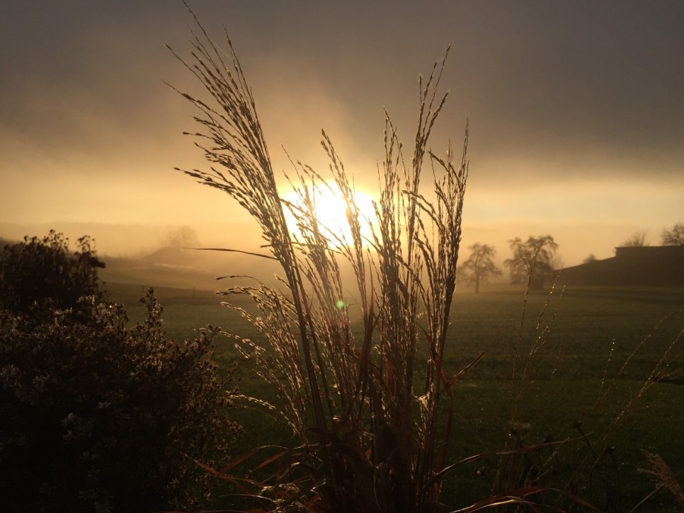Умный человек никогда не думает об этом — 7 простых истин, после которых тревога уходит сама собой