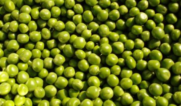 Зелёный горошек в оливье больше не кладу — беру целую банку и за 20 минут готовлю вкуснятину на ужин