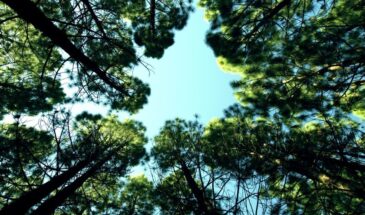 Одна фраза из трёх слов — и агрессоры начнут обходить вас стороной: психологический щит, который работает мгновенно