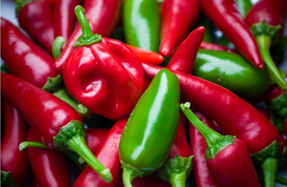 Дачники в шоке: эти 3 сорта перца дадут урожай даже при неудачном лете — семена на 2026-й уже раскупают!