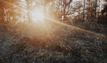 21 декабря — самый мрачный день года в России: где солнце покажется на 18 минут, а ночь продлится 17 часов