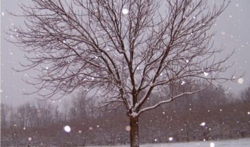 Январь уже не будет прежним: даже те, кто «не отмечает», почувствуют разницу