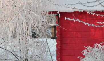 Сырость в деревянном доме не от дождя — а от того, что вы храните в шкафу. Три причины, о которых молчат, и как убрать запах за выходные