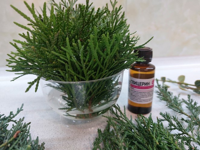 Секрет, о котором молчат флористы: как превратить обычные веточки ели в вечную зелень для интерьера