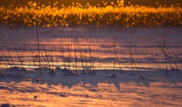 3 января — день, когда нельзя говорить «здравствуйте». Кто скажет — тот рискует заболеть. Вот что говорить вместо этого