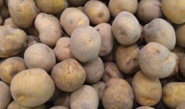 Почему ваше пюре — клейкое, а жареная картошка разваливается? Секрет в сорте. Проверьте за 10 секунд — и больше не ошибётесь