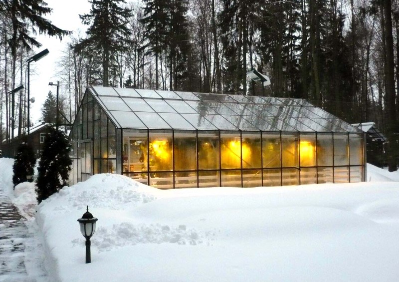 Закидывать снег в теплицу в декабре — ошибка, которая убьёт урожай. Когда и сколько снега на самом деле нужно — простое правило от опытных огородников