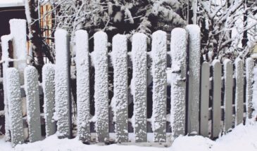 «Январь — не отдых!»: что делают опытные дачники в самый холодный месяц, пока остальные спят под одеялом