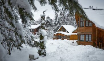 Луна в январе 2026 даст зелёный свет — но только в эти дни: главные даты для огородников по лунному календарю