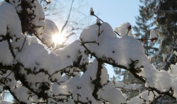 19 декабря — день святителя Николая Чудотворца: не просто дата в календаре. Что можно и нельзя делать, как молиться — и почему его помощь «срабатывает» даже у неверующих