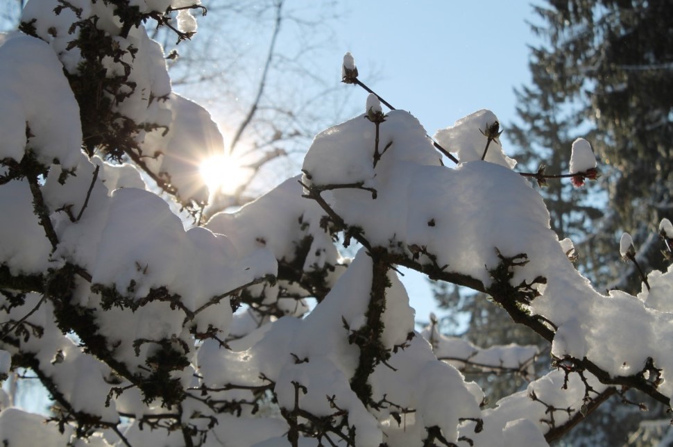 19 декабря — день святителя Николая Чудотворца: не просто дата в календаре. Что можно и нельзя делать, как молиться — и почему его помощь «срабатывает» даже у неверующих