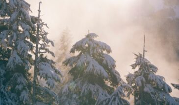 Смоешь счастье и ум! Что нельзя делать 14 декабря в Наумов день — иначе всё пропало