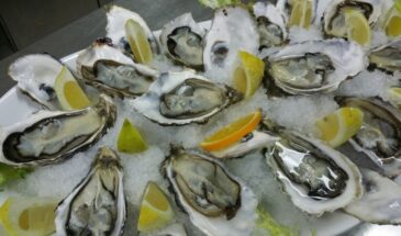 Устрицы для новичков: как открыть без порезов, подать красиво и съесть с удовольствием — пошаговый гид за 5 минут