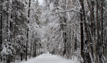 Калинники, 27 декабря: сегодня нельзя выходить неумытым. Что случится — и как одна простая привычка защищает лучше оберега