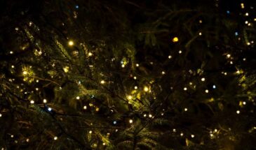 25 декабря — Рождество. Католики за столом, часть православных — в посте. В чём разница?