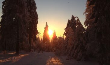 С 26 декабря день начнёт расти: астрономы объяснили, когда зима теряет контроль над светом