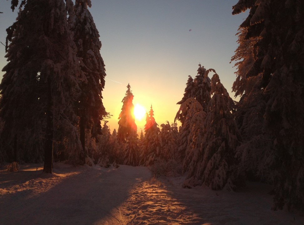 С 26 декабря день начнёт расти: астрономы объяснили, когда зима теряет контроль над светом