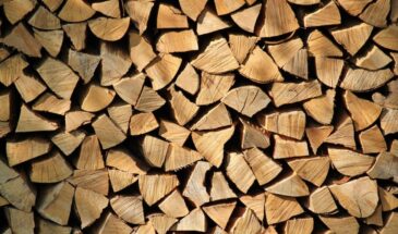 Как быстро высушить сырые дрова за 2–5 дней — проверенный способ без химии и затрат