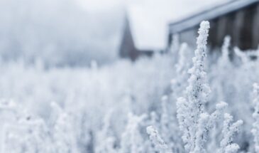 12 декабря по народному календарю: что можно и нельзя делать в Парамонов день — приметы, запреты и обряды