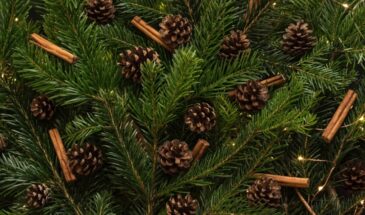 Декабрьское волшебство начинается не 31 декабря: 7 простых вещей, которые создадут новогоднее настроение уже сегодня