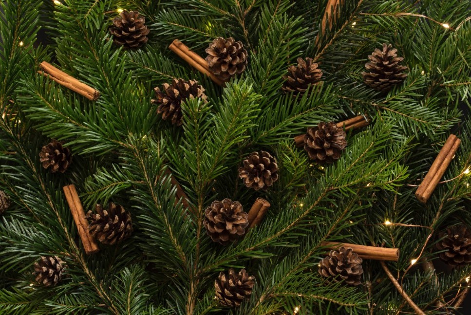 Декабрьское волшебство начинается не 31 декабря: 7 простых вещей, которые создадут новогоднее настроение уже сегодня